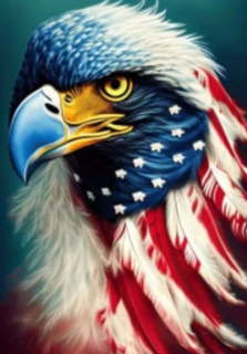 Diamond Painting Adler USA